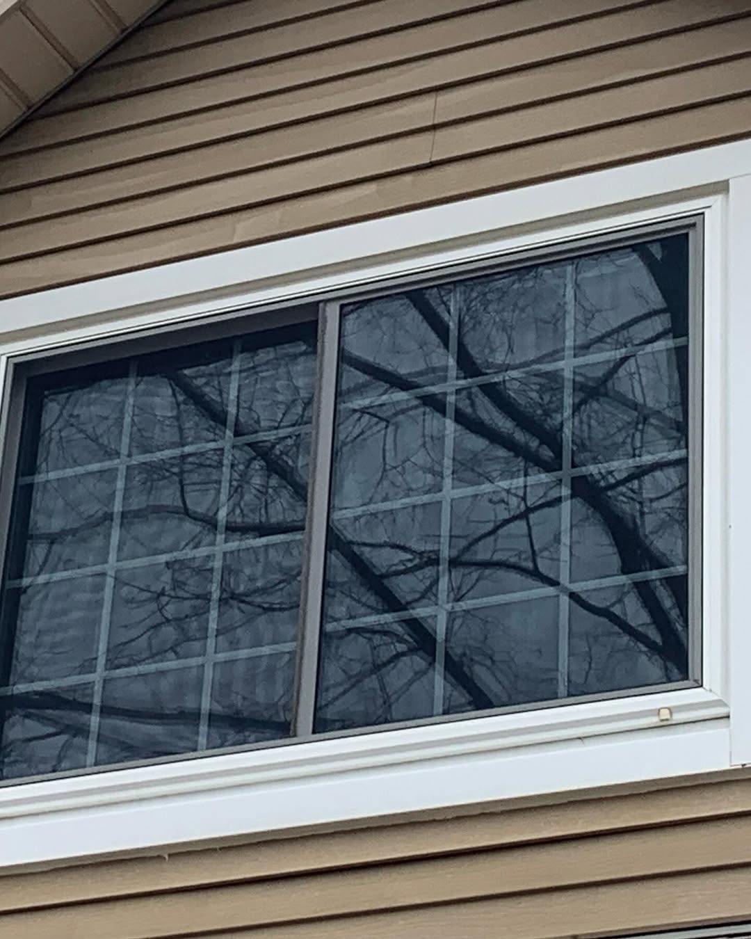 Replace Window